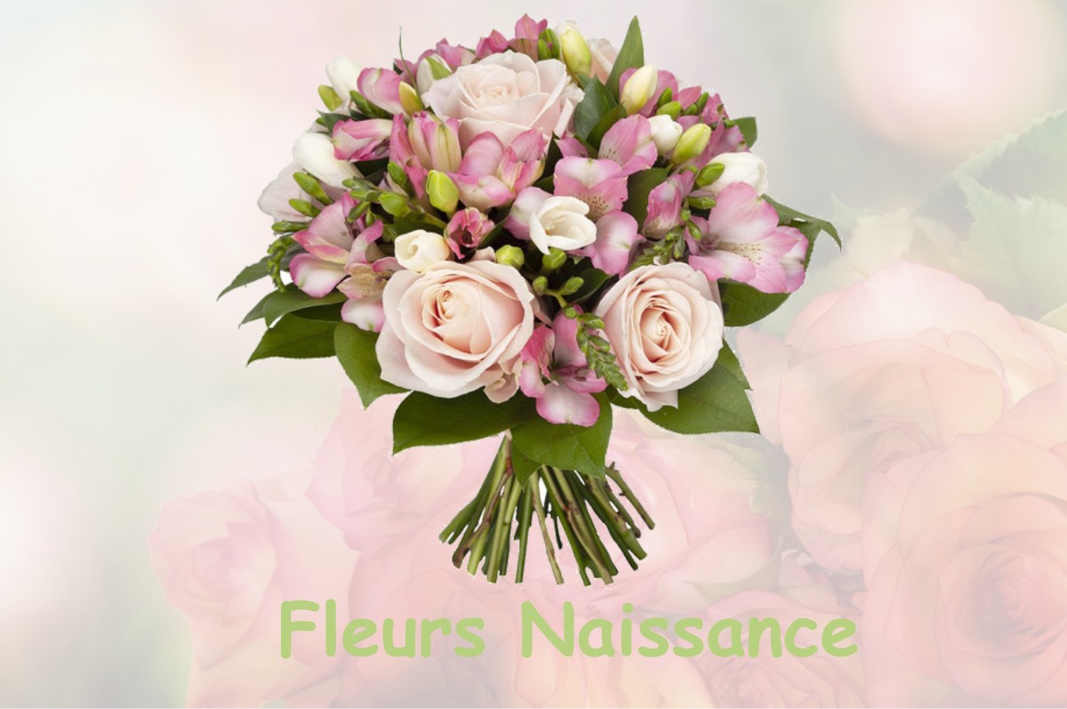 fleurs naissance TOURNON-SAINT-PIERRE